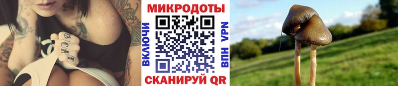Галлюциногенные грибы прущие грибы что такое кракен ONION Уяр